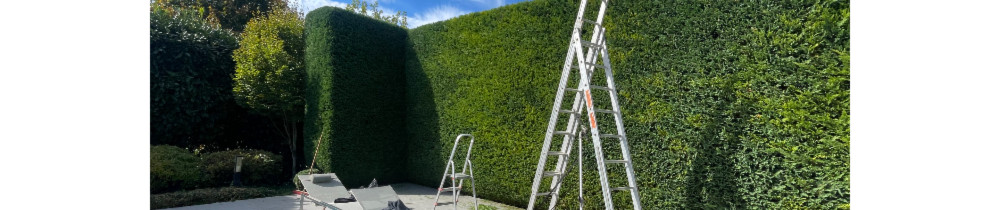 Pllana F. (jardinage)