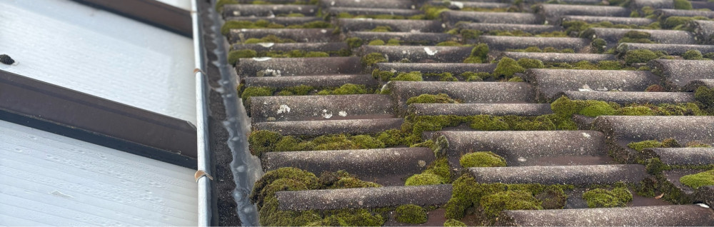 Paul D. (Maison Debard)