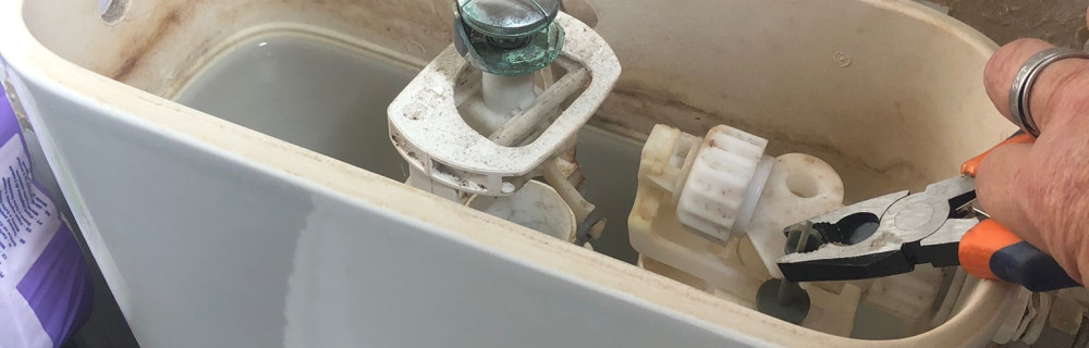 Thierry J. (ô p’tit services)