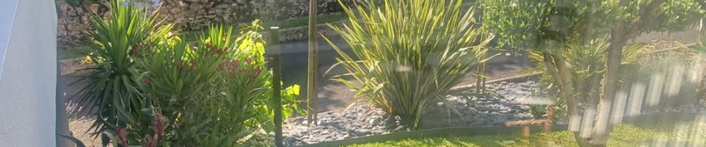 Benjamin G. (Jardin & Services)