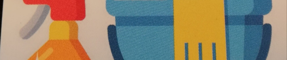 Carine N. (Toutnet services)