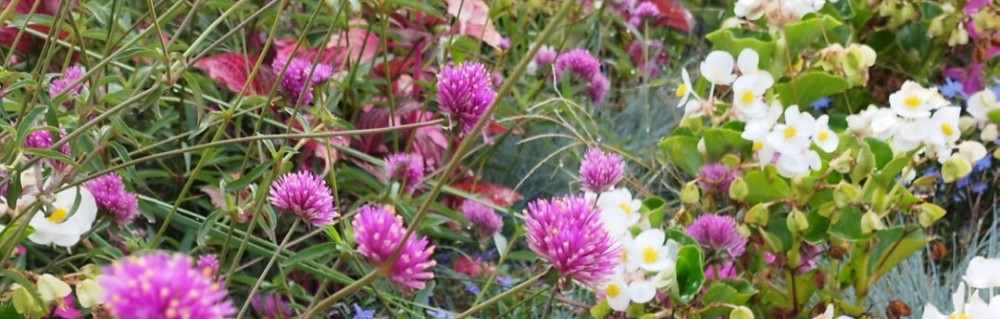 Stéphanie P. (Pilorge Stéphanie)