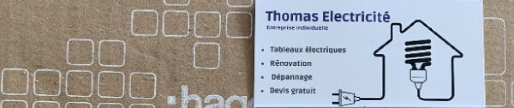 Thomas K. (Thomas Électricité)