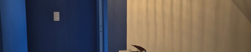 Michaël M. (CKS decorationpeinture)