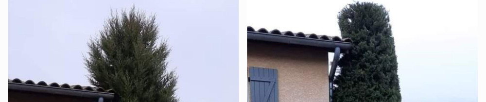 Mathieu J. (Sepul'propre)