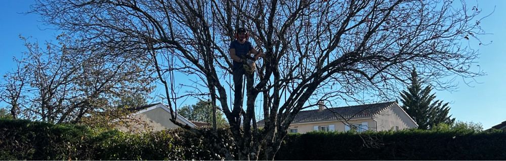 Elie S. (E.S Multiservices)