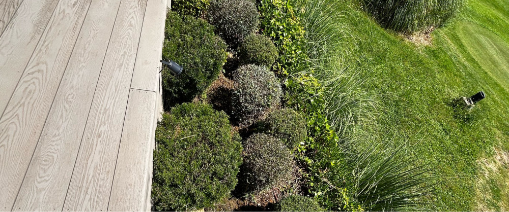 Eddy P. (Mc Services)