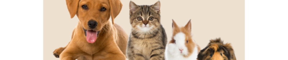 Stephanie D. (PATOUNES SITTER)