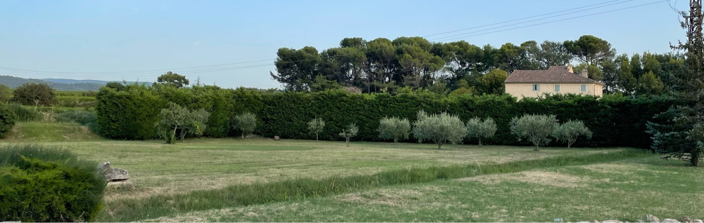 Côme Z.