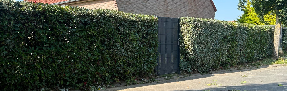 Charles V. (CV Services)