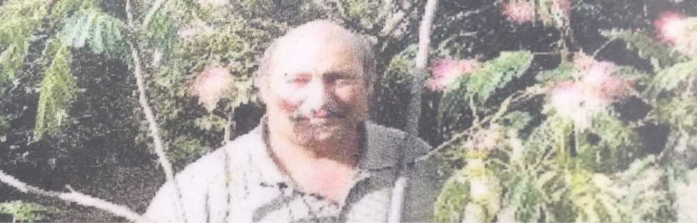 Louis V. (Maison Violet)