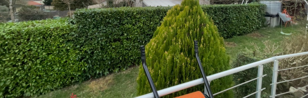 Malo C. (Main Verte & Tournevis)