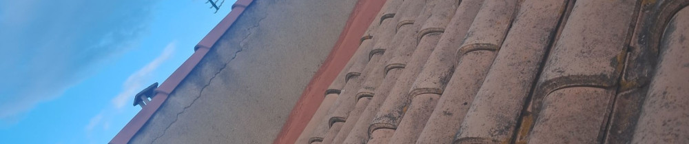 Teggy G. (waypeinture)