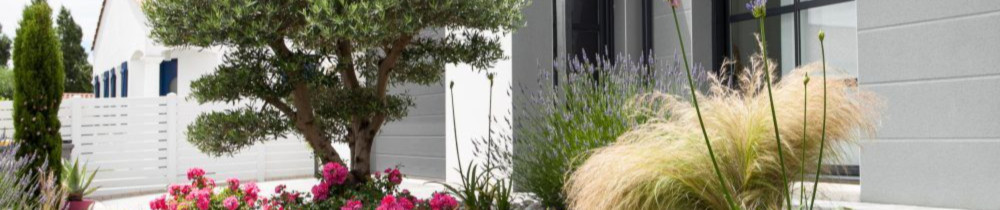 Yannick B. (MYB multi-services)