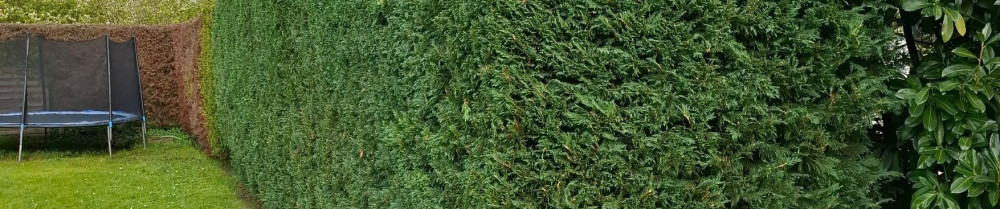 Brice B. (2B-RÉNOV)