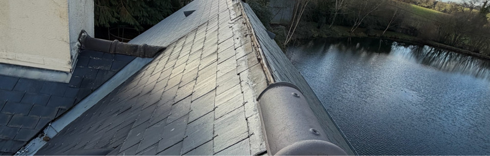 Fabrice D. (Dumont couverture)