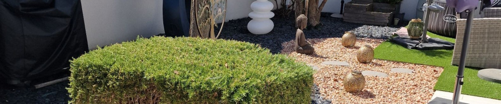 Collon L. (racines te lumiere)