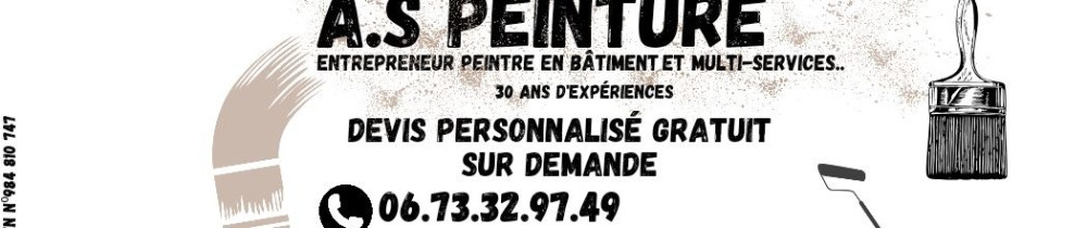 Stéphane D. (A.S Peinture et Multi-Ser...