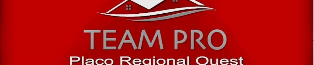 Alexandru O. (Team pro)