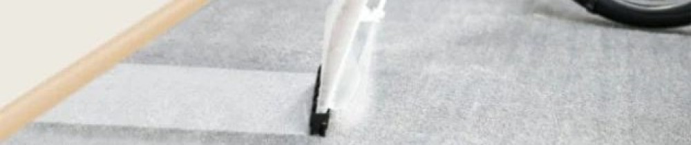 Dylan D.