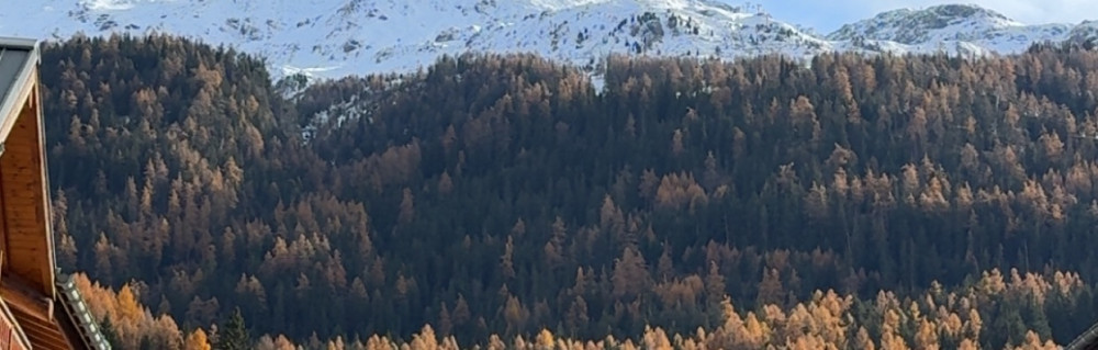 Gibril C.