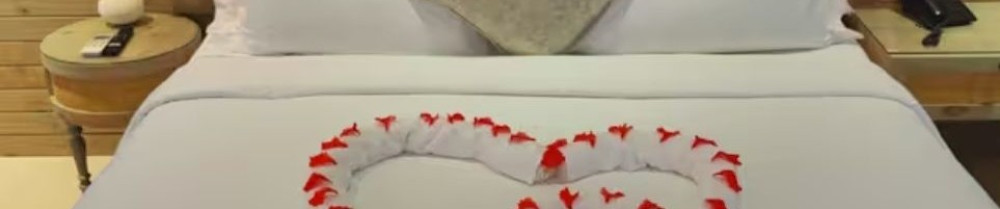 Vif Propre Nettoyage V.