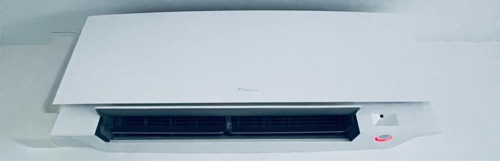 Bastien B. (Ei bouvier bastien)