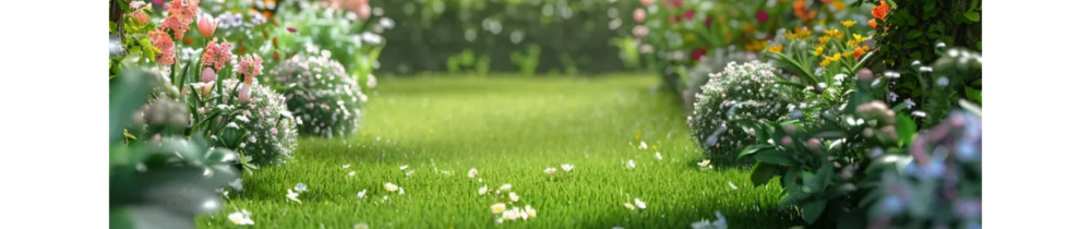 Marc A. (MaServices)