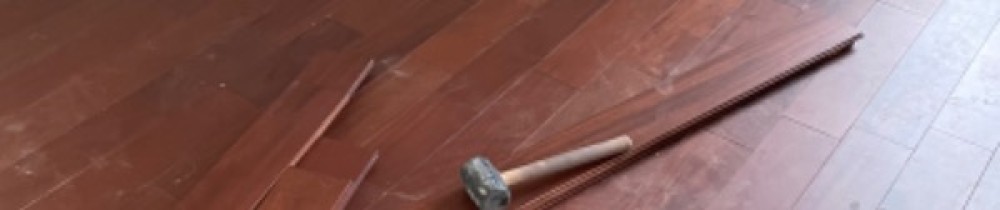 Jose N. (Jose Goncalves Neves)