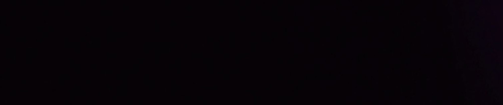 Samuel D. (Samueldrenovation)