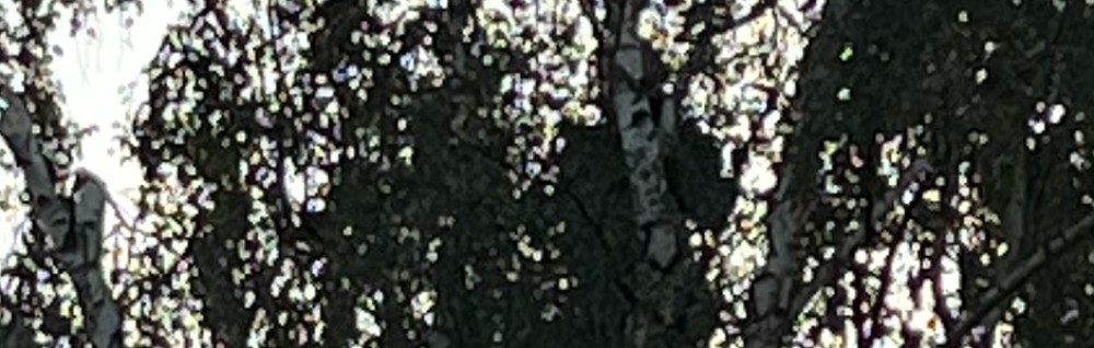 Christian H. (Hart service)