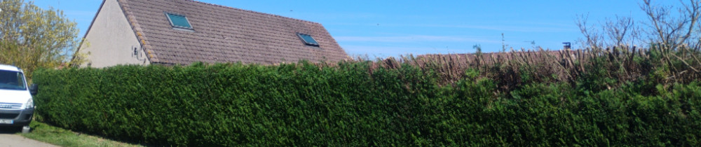 Naïm A. (Adolphe Naïm)