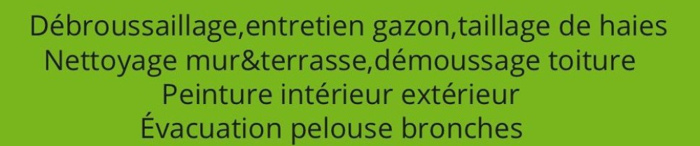 Steve A. (A.S service)