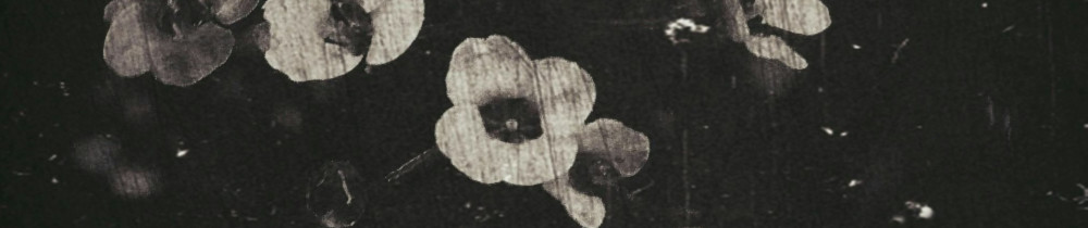 Emilie R.