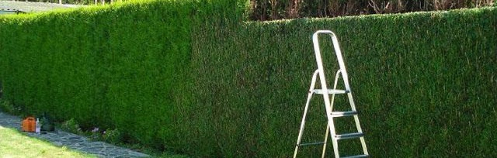 Leroy F. (fabulet paysagiste)