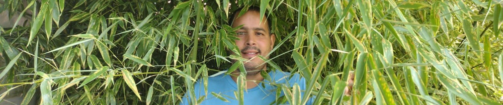 Chafik M.