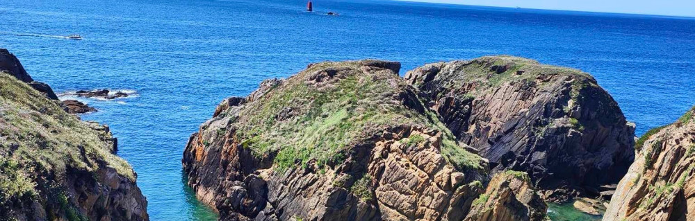 Matthieu P. (SLD multi-services)