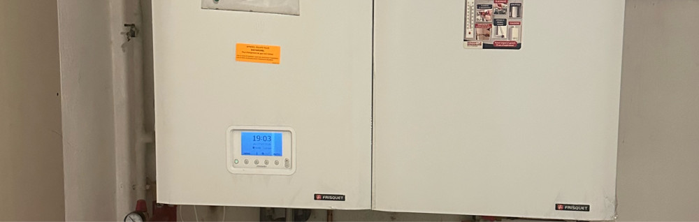 Nelson S. (Sn Servives)