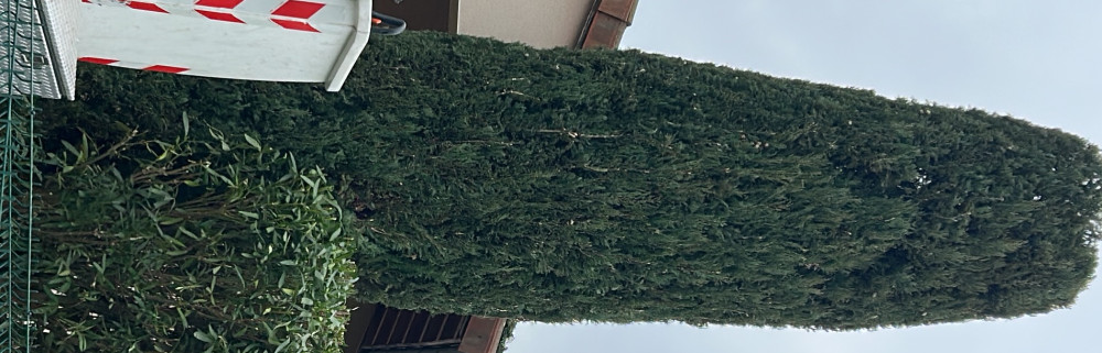 Jd D. (jd création)