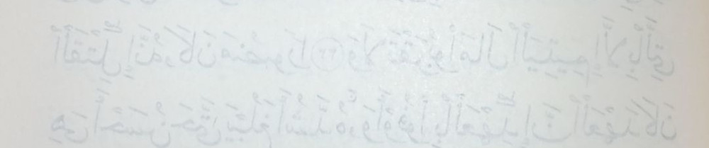 Aurelie L. (Clean34 by MK)