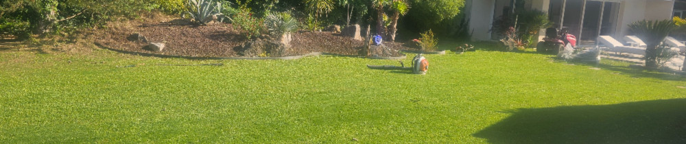 Theo F. (T.L.F RENOVATION)