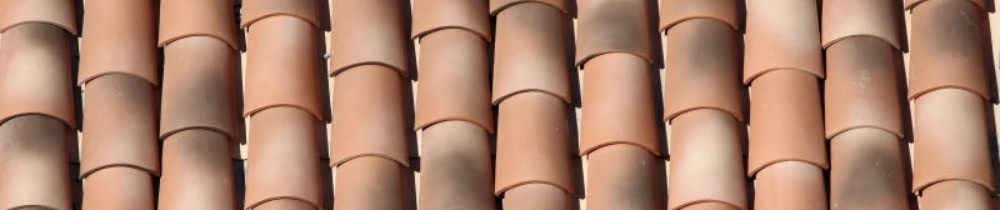 J M. (Morel Habitat)