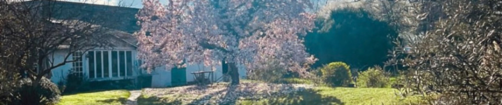 Mélodie V. (La Graine Parisienne)