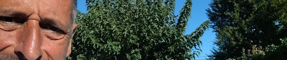 Didier C. (distrate)