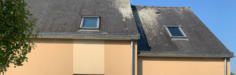 Mondino R. (Reinhardt)