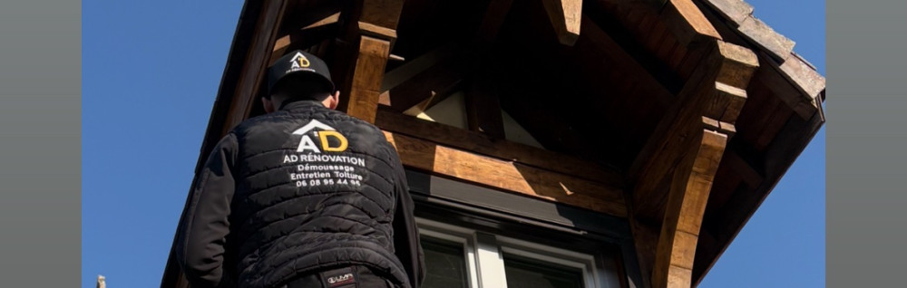 Alex D. (AD renovation)