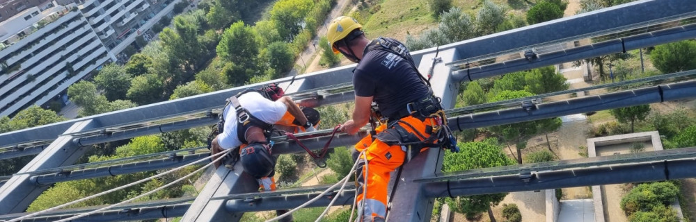 Gregory D. (Cord’Altitude11)