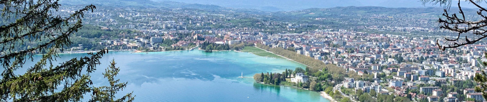 Thomas B. (Thomas Buttin Immobilier)