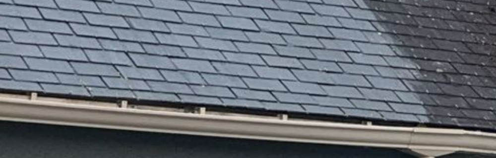 Edmond R. (Renard Rénovation)