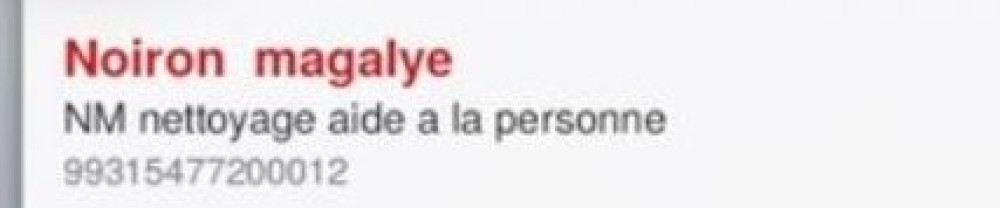 Magalye N. (nmnettoyage aide a la pers...